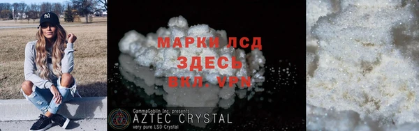 стаф Богданович