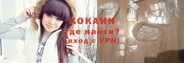 стаф Богданович