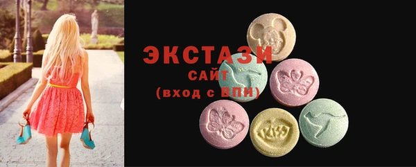 стаф Богданович