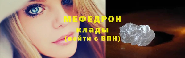 стаф Богданович