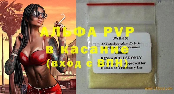 стаф Богданович