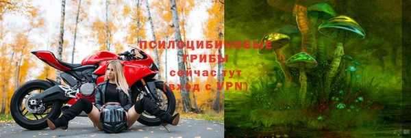 а пвп мука Богородск