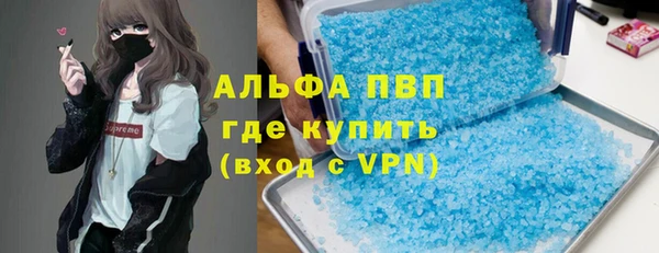 стаф Богданович
