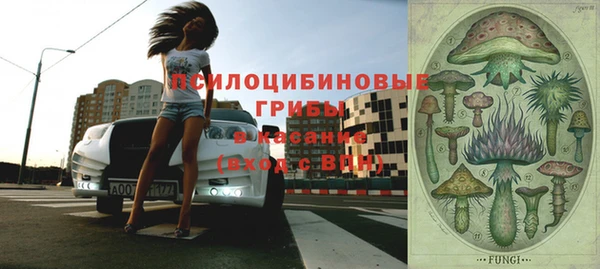 а пвп мука Богородск