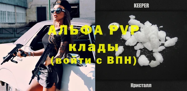 стаф Богданович